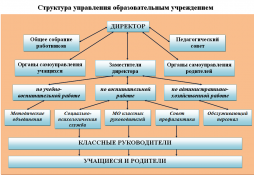 Структура управления образовательной организацией МОУ Ветлужская школа №1
